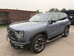 DARGO DELUXE 4X4 2.0 AUT